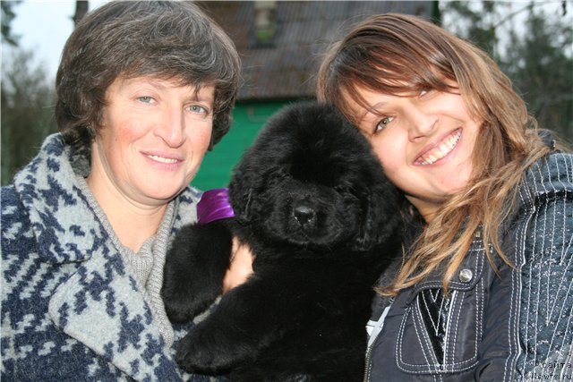 Фото: ньюфаундленд Smigar Gordon Fellow (Смигар Гордон-Феллоу), Nataliya Mihaylova (Наталия Михайлова), Anastasiya Mihaylova (Анастасия Михайлова)