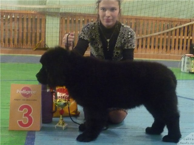 Фотография № 53041