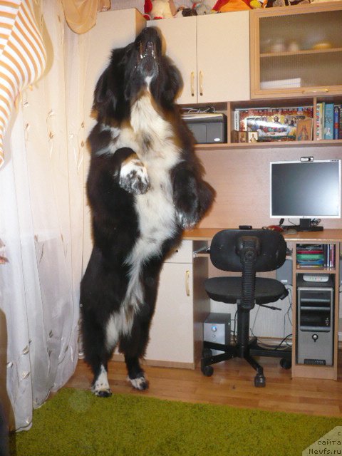 Фото: Vladimir Rubis (Владимир Рубис)