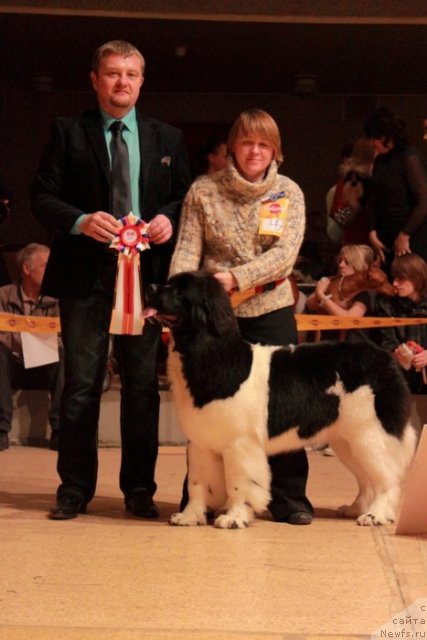 Фотография № 53052