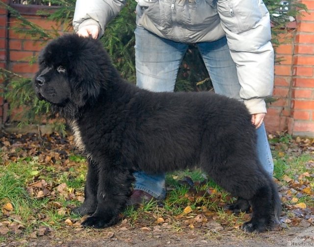 Фотография № 53056