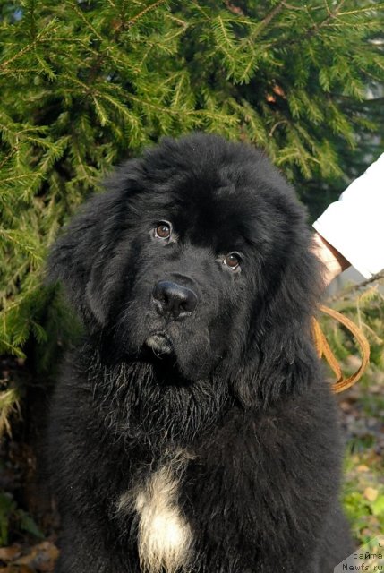 Фотография № 53058