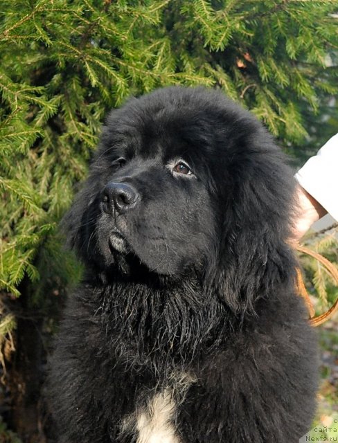 Фотография № 53059