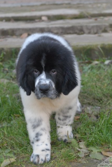 Фотография № 53069