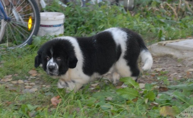 Фотография № 53070