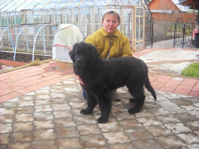 Фотография № 53092