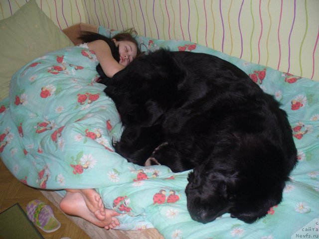 Фотография № 53099