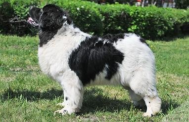 Фотография № 53124