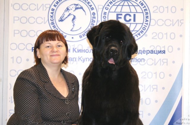 Фото: ньюфаундленд Aquatoriya Kelvin Inspirit Life (Акватория Келвин Инспирит Лайф), Tat'yana Abutova (Татьяна Абутова)