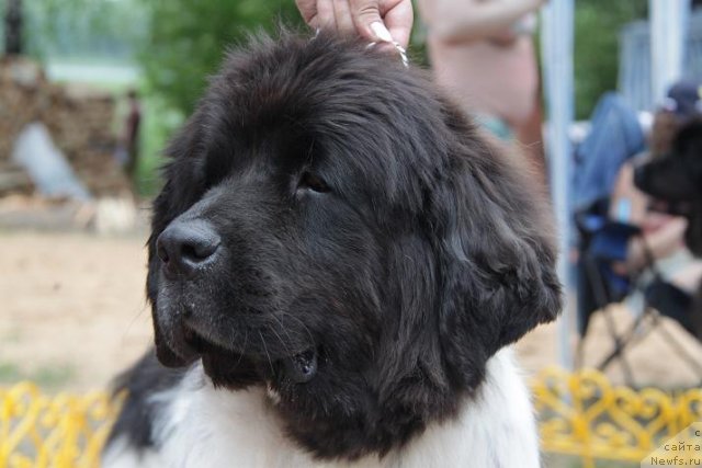 Фотография № 53129