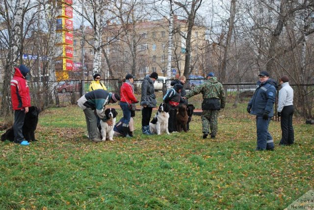 Фотография № 53142