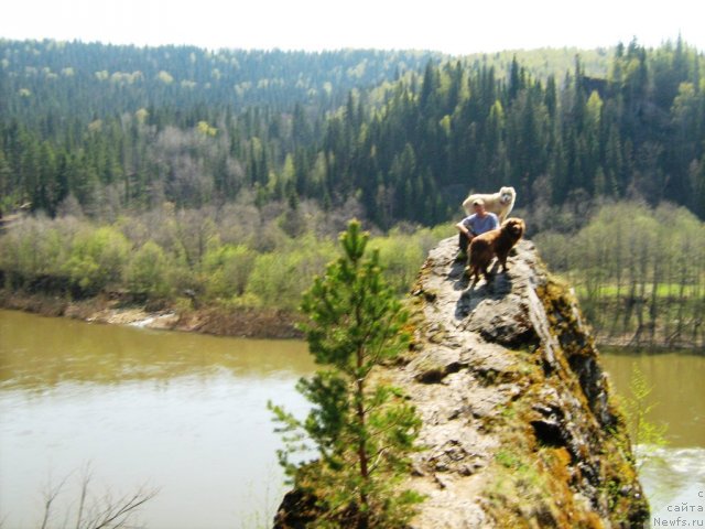 Фото: Дан и Джаз