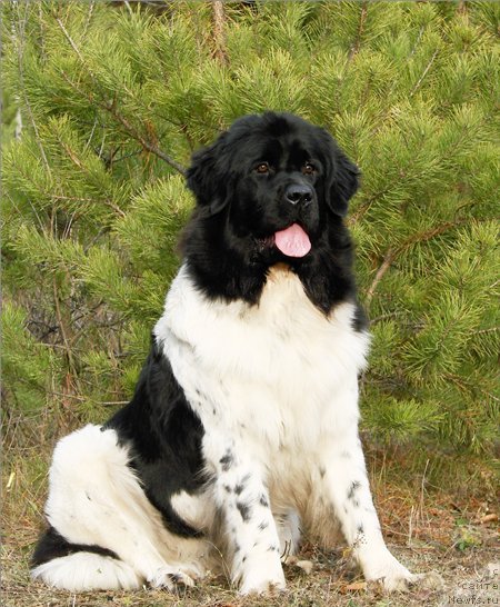 Фотография № 53177