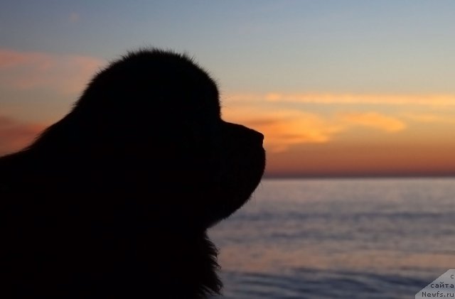 Фотография № 53194