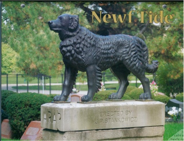 Фотография № 53211