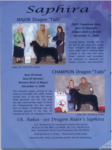 Фотография № 53230