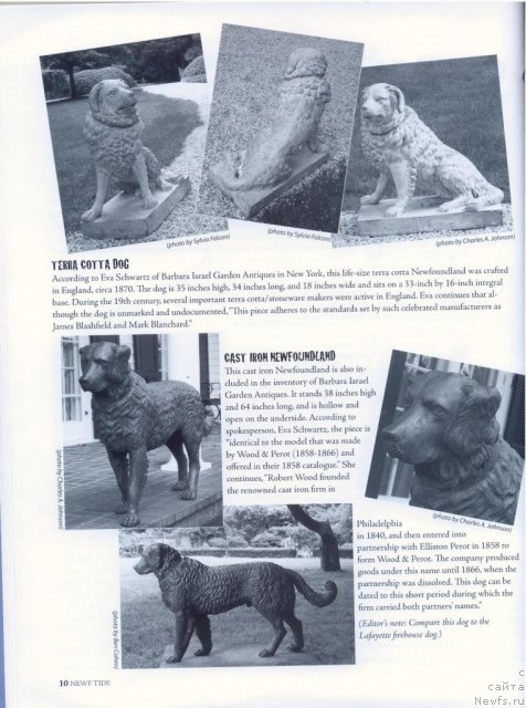 Фотография № 53245