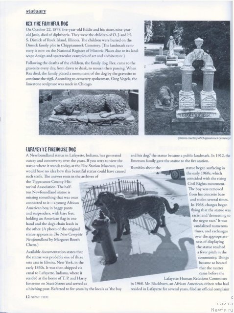 Фотография № 53247