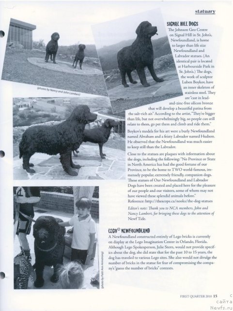 Фотография № 53250