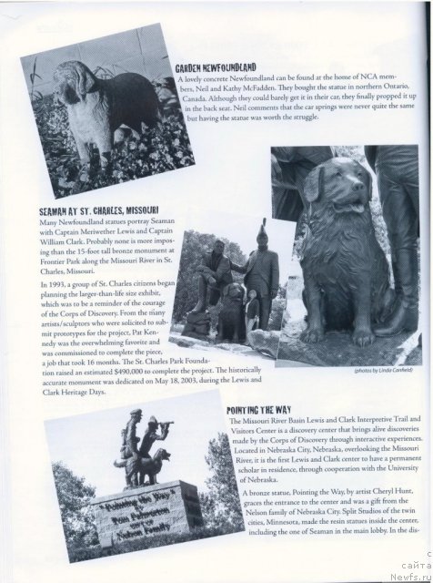 Фотография № 53251