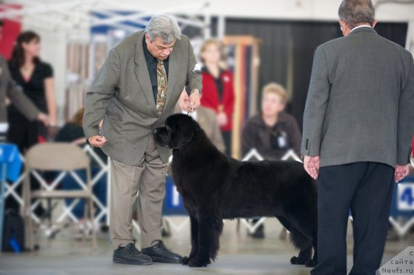 Фотография № 53271