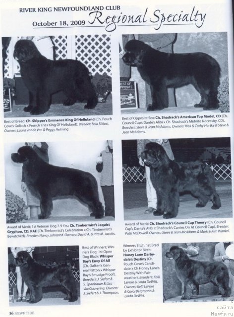 Фотография № 53295