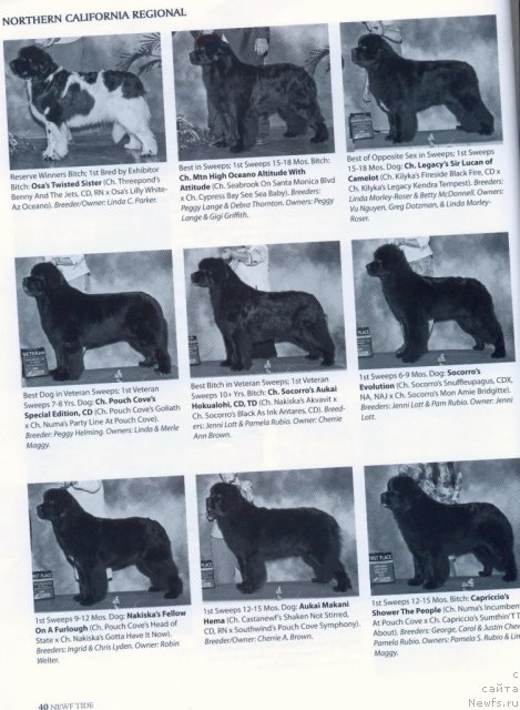 Фотография № 53299