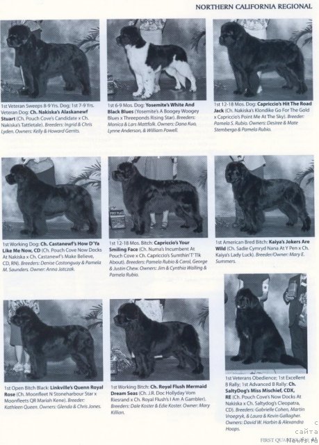 Фотография № 53300