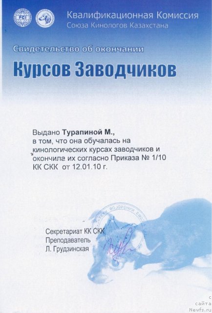 Фотография № 53301