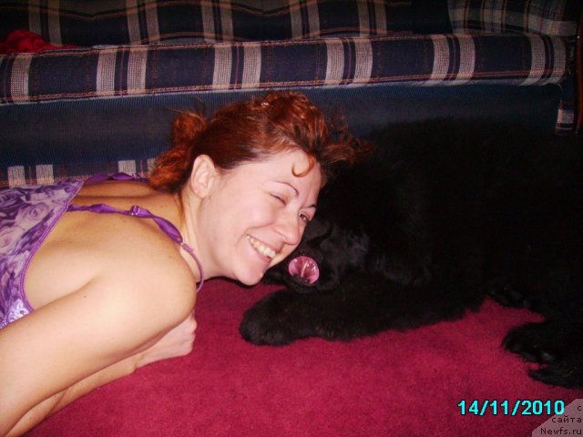 Фото: Irina Nistratova (Ирина Нистратова), ньюфаундленд Ih Vyisochestvo Vladlena Madjiks (Их Высочество Владлена Маджикс)