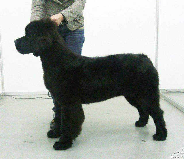 Фотография № 53322