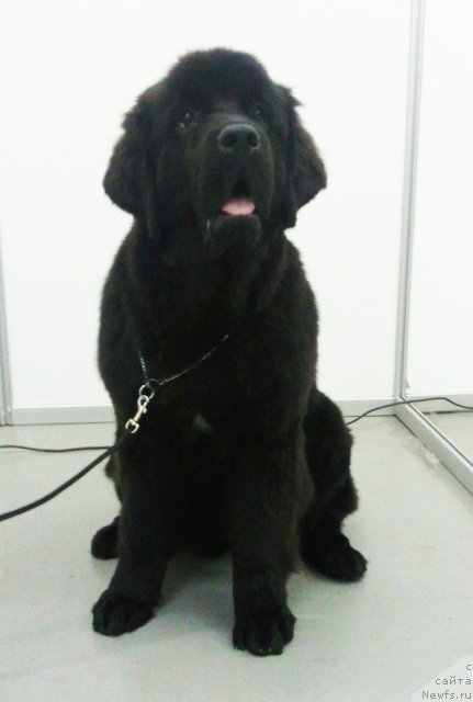 Фотография № 53324