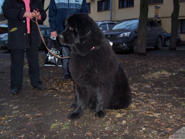 Фотография № 53329