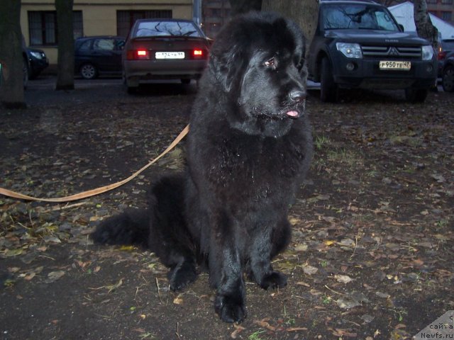 Фотография № 53330