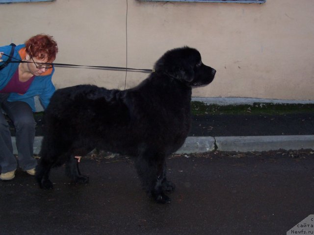 Фотография № 53331