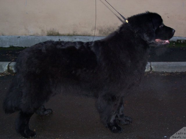 Фотография № 53332