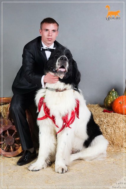 Фотография № 53346