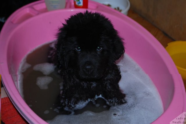 Фото: Natal'ya Smirnova (Наталья Смирнова)