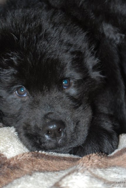 Фото: Natal'ya Smirnova (Наталья Смирнова)