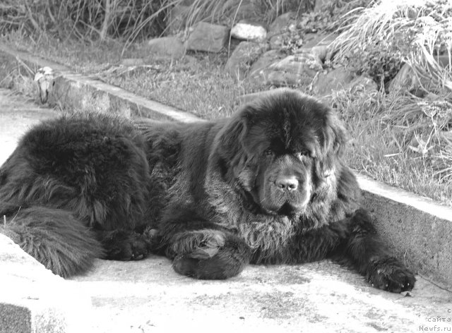 Фотография № 53419