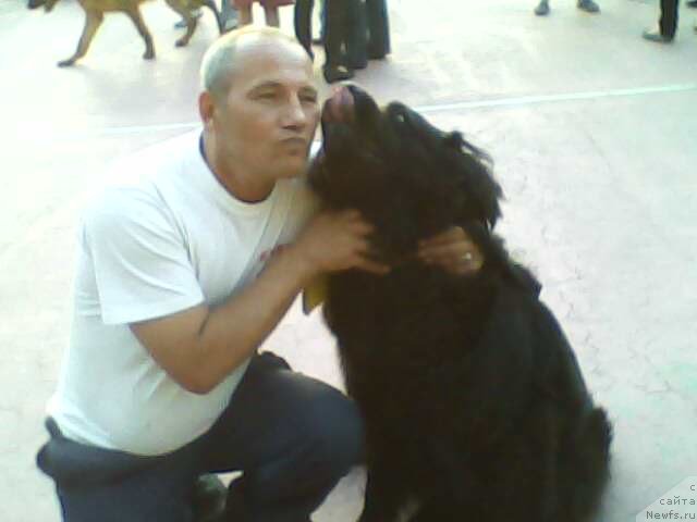 Фото: Люблю хозяина, он послушный и команды и капризы выполняет.