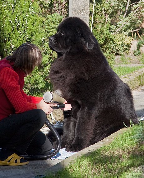 Фотография № 53431