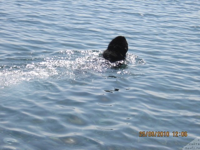 Фотография № 53444