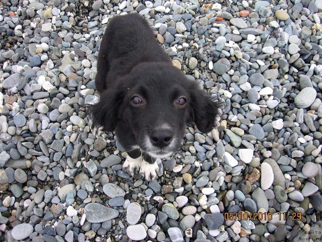 Фотография № 53446