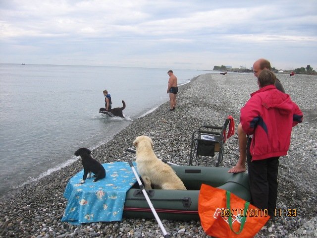 Фотография № 53447