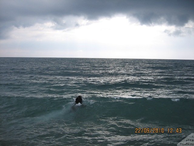 Фотография № 53449