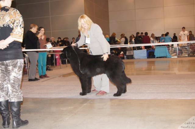 Фотография № 53450