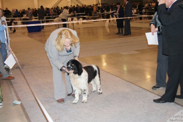 Фотография № 53454