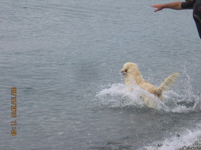 Фотография № 53455