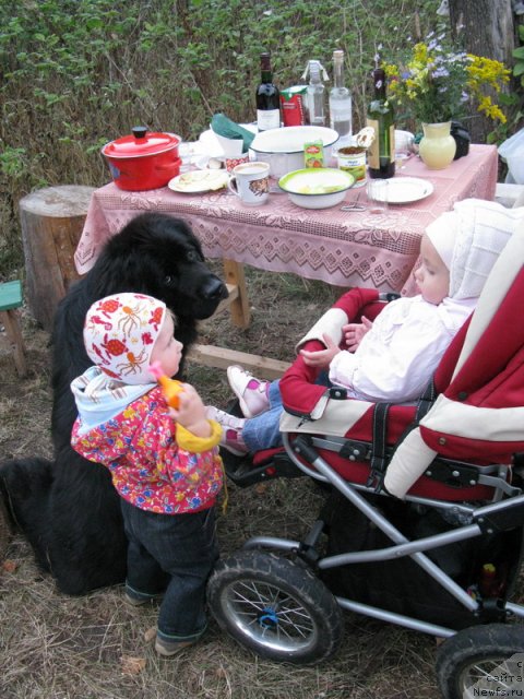 Фотография № 53476